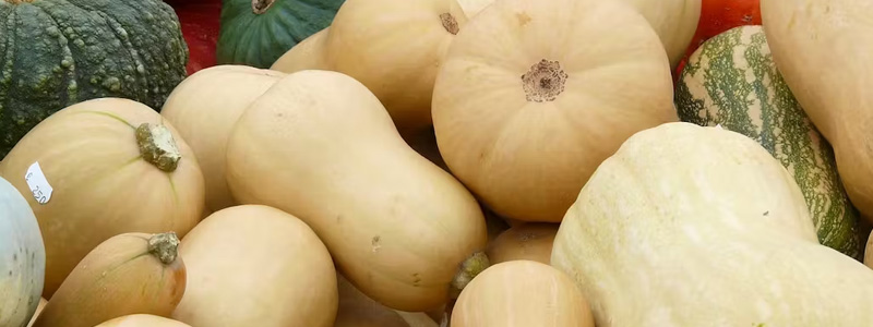 Butternut Squash and Sage Macaroni Cheese